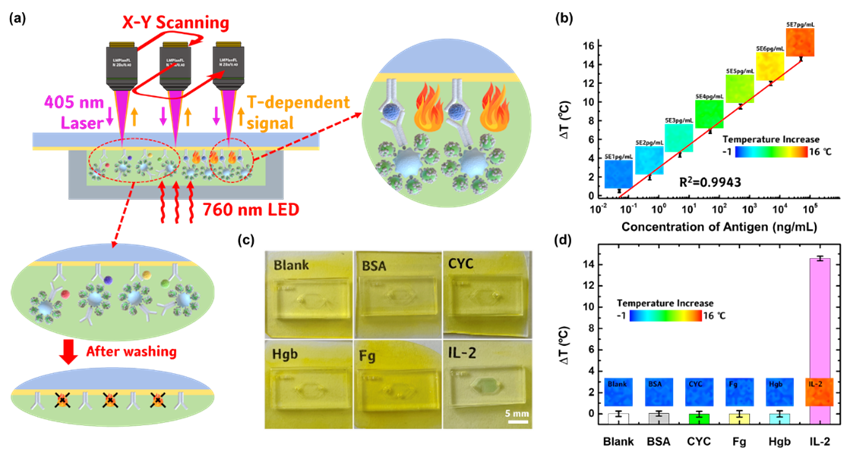 2. 图2：PAFISA系统对于IL-2抗原灵敏度和特异性的验证实验.png